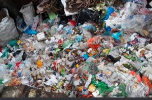 WhatsApp Image 2021-07-19 at 5.49.32 PM