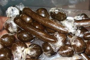 2019_9image_10_31_043675021charas-ll