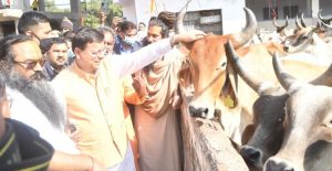 WhatsApp Image 2021-11-11 at 5.28.03 PM