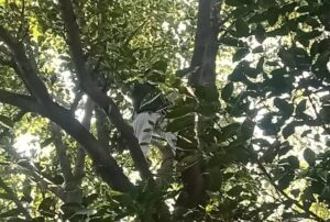 ff27a274-31f2-49ac-9fda-edc47c3c6d01