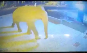 WHATSAPP_IMAGE_2022_02_24_AT_094847113754_1645683013_1645683013