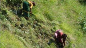 _121413069_83c12374-461d-4e69-b1ef-653ffc6c33cb