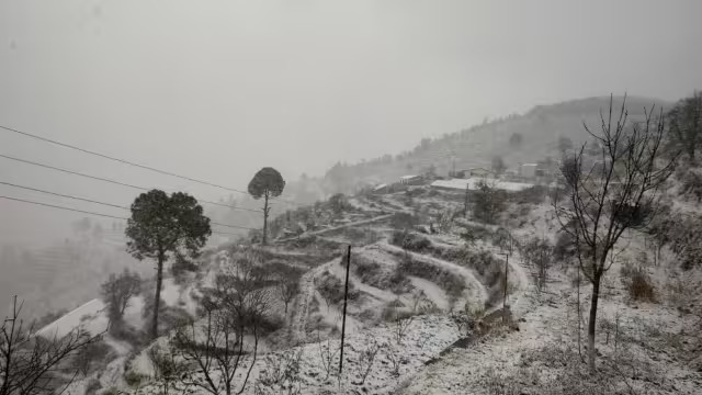 बर्फबारी