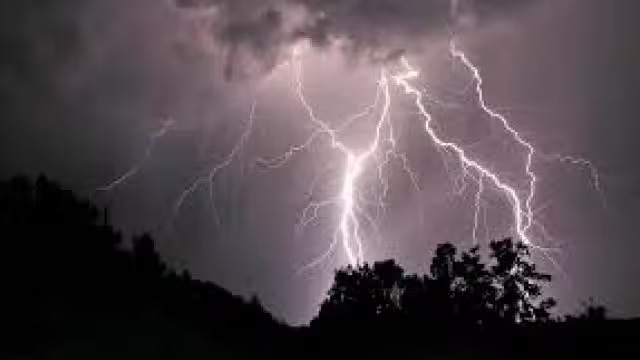 tree_fell_on_bike_in_rain_storm_mother_and_son_died_1595344357