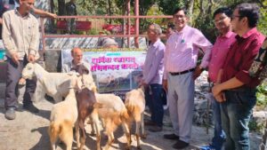 WhatsApp Image 2023-10-15 at 11.05.52 AM