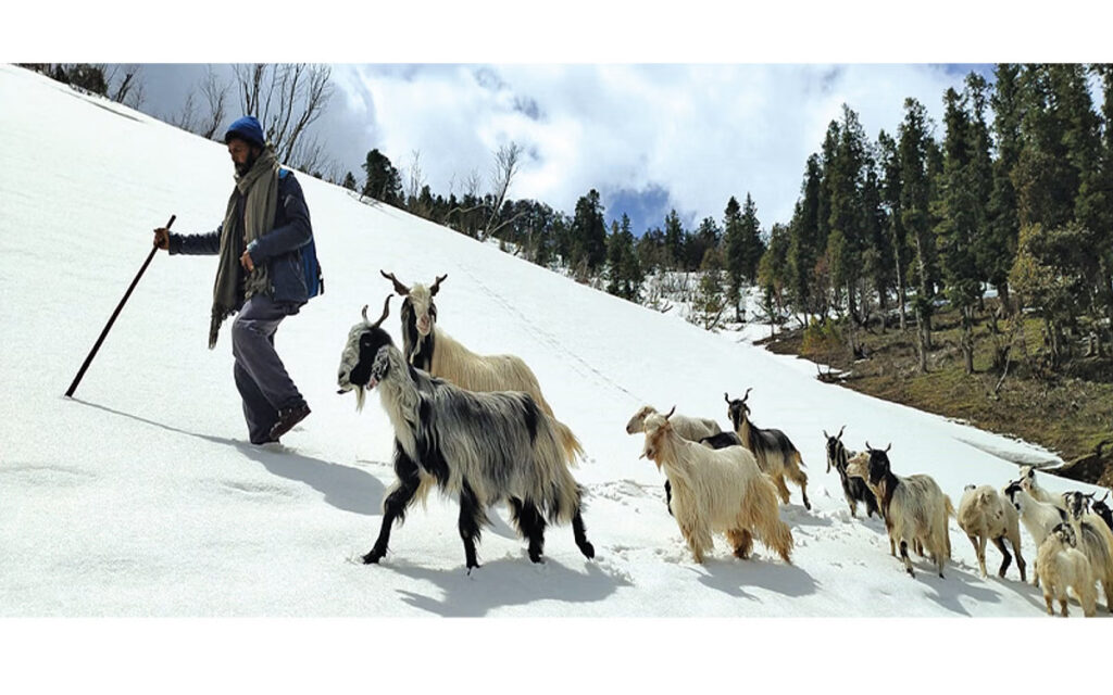greaterkashmir_2023-04_843d6849-85ee-4483-85d4-3db5942baad6_snowfall