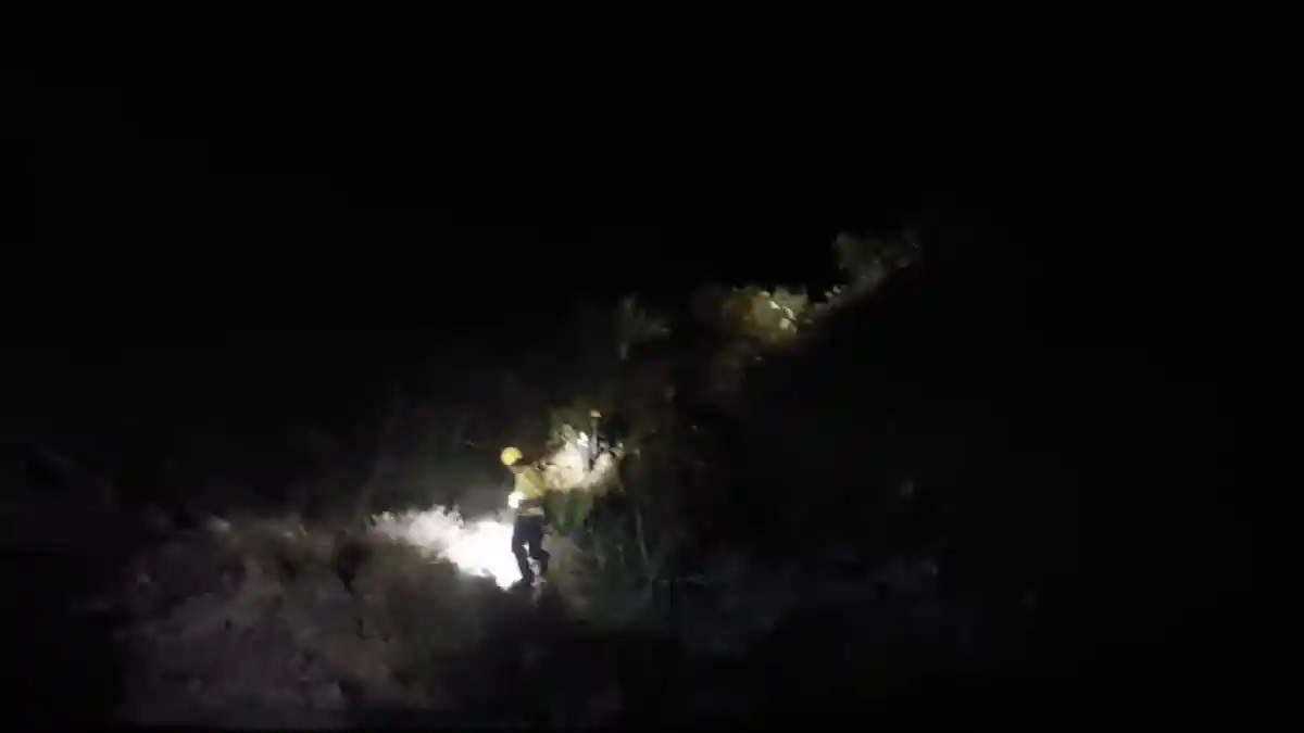 d 3